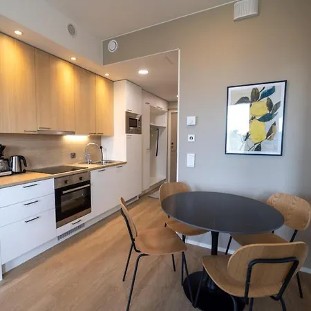 Marinan Portti A41 公寓 卡拉约基